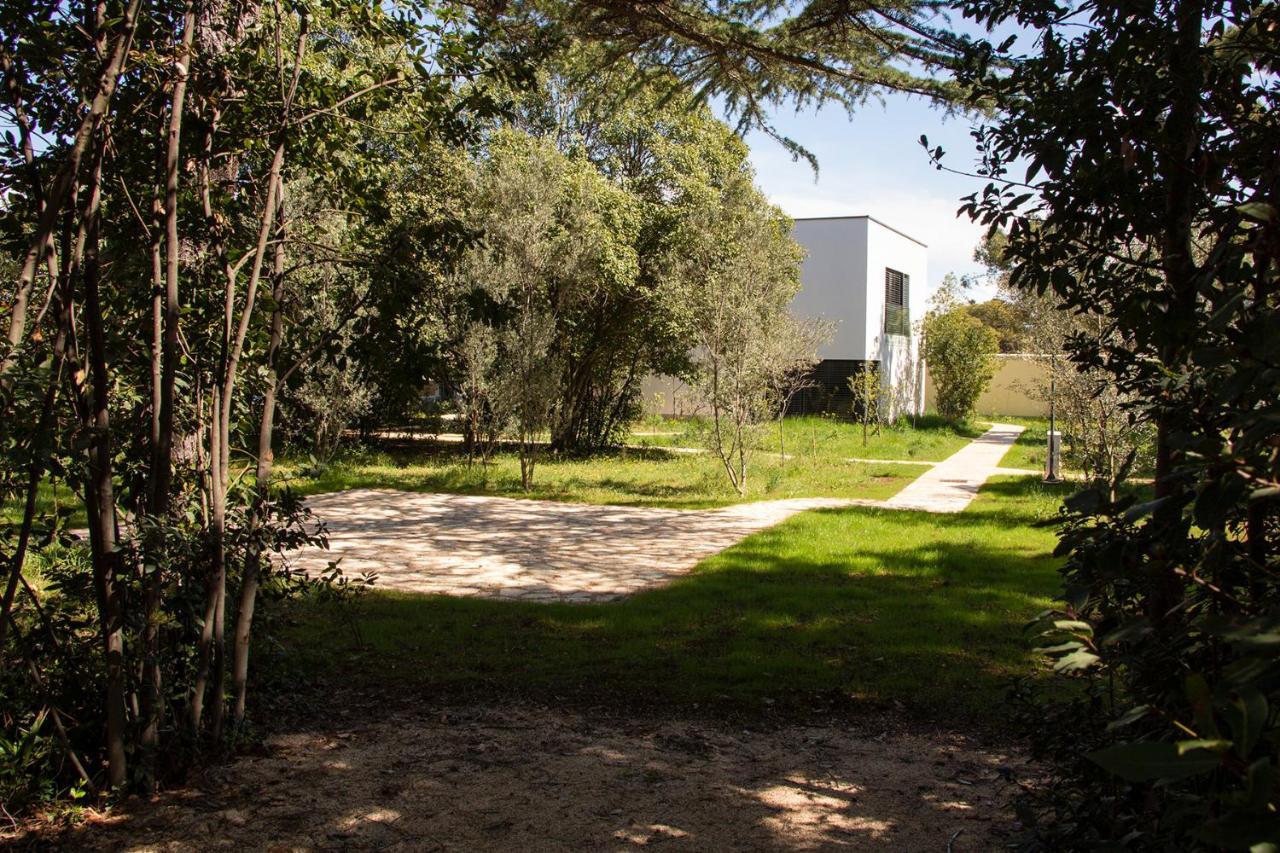 Villa Rosemary Park Zadar Exteriér fotografie