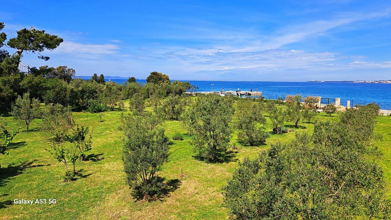 Villa Rosemary Park Zadar Exteriér fotografie